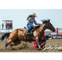Member In The Spotlight: Shayna Dodds
